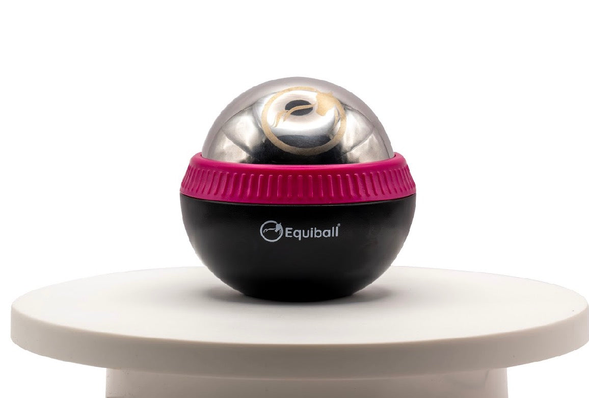 Build Your Own Equiball®