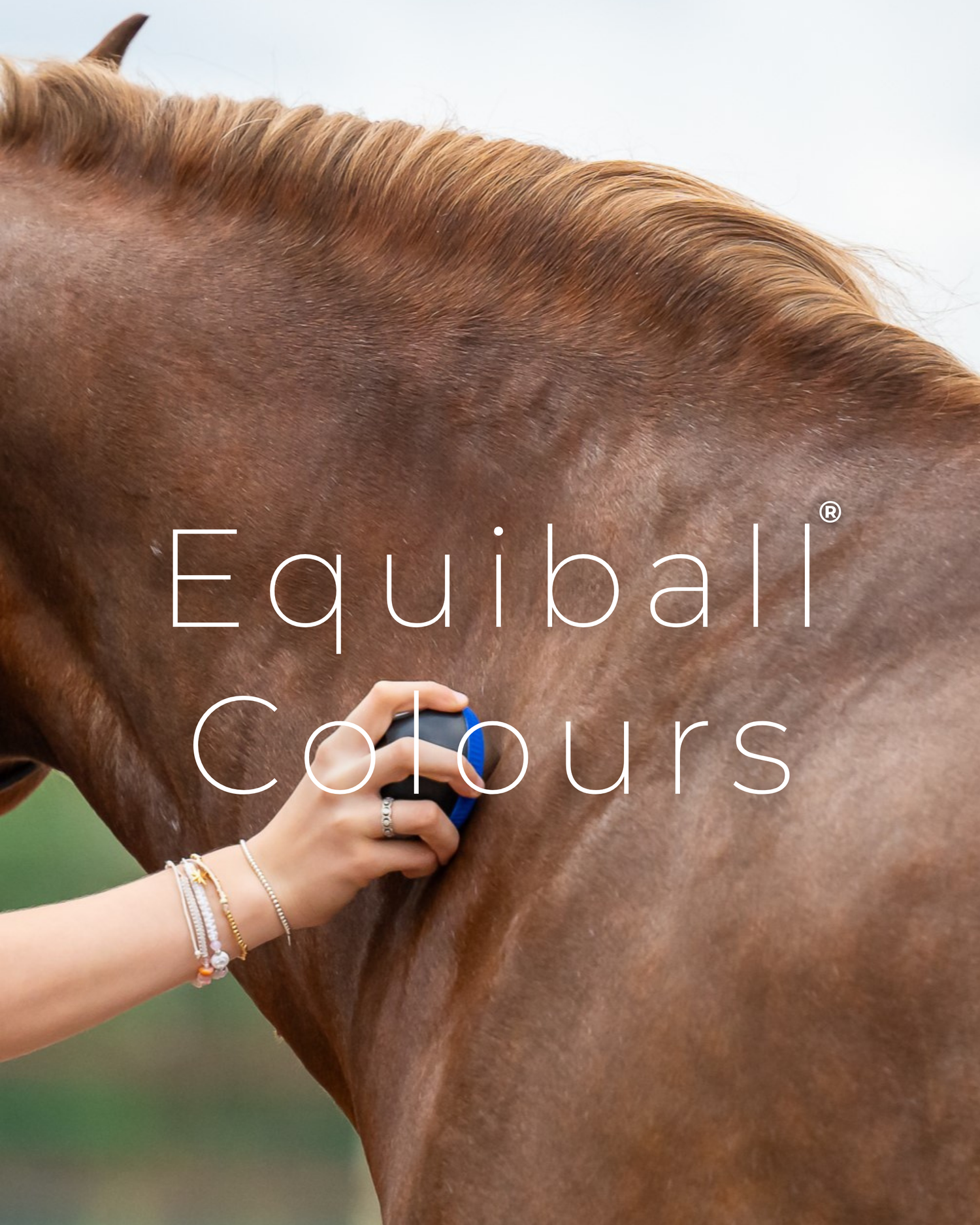 Equiball Colours
