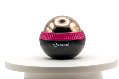 Build Your Own Equiball®