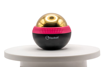 Build Your Own Equiball®
