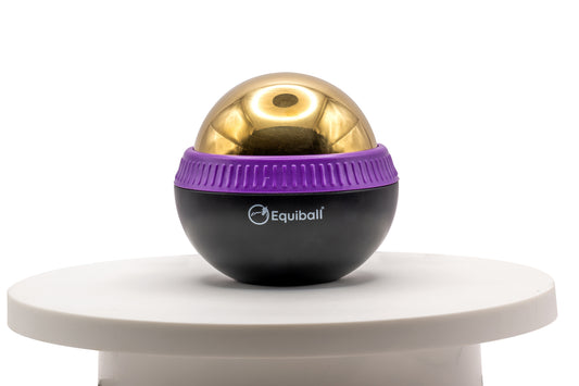 Build Your Own Equiball®