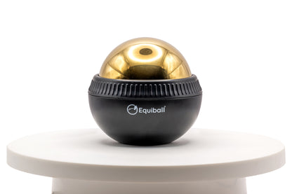 Build Your Own Equiball®