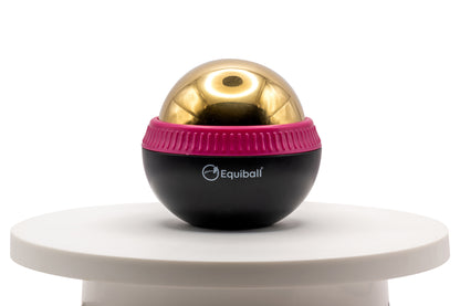 Build Your Own Equiball®