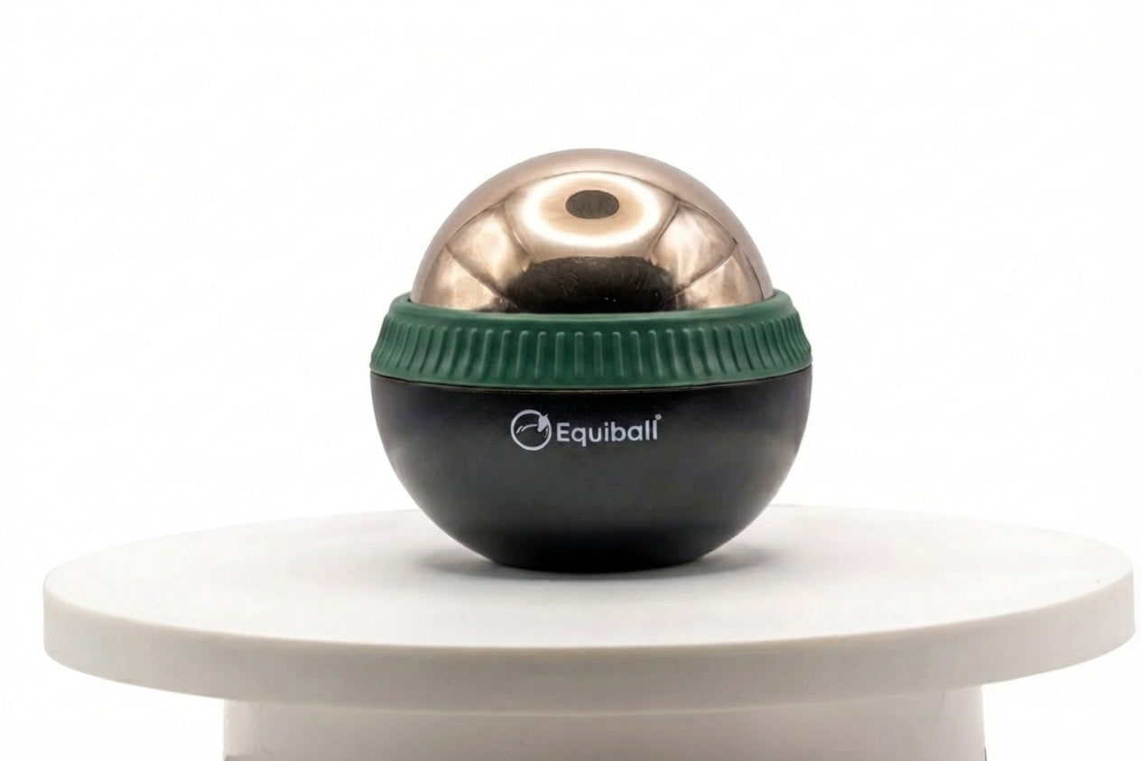 Build Your Own Equiball®
