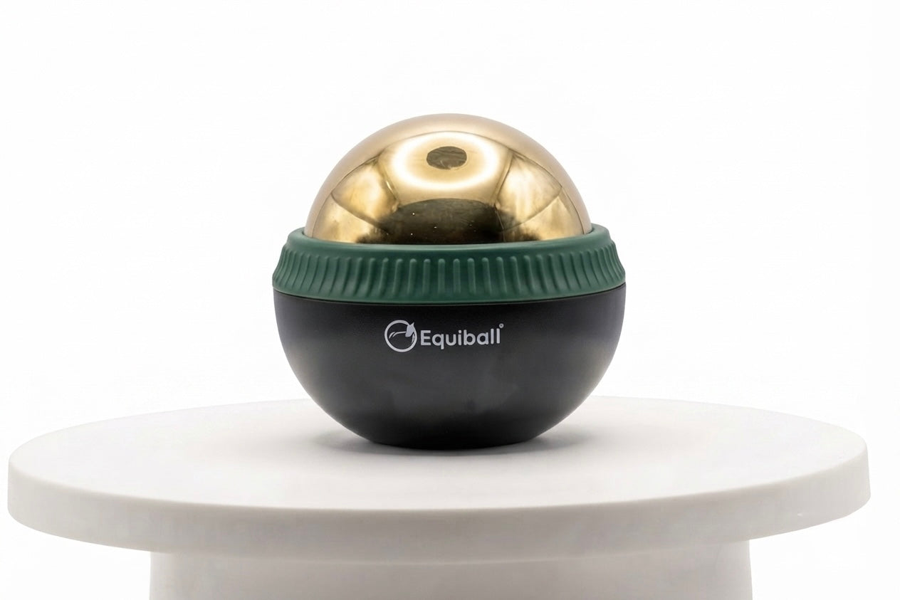 Build Your Own Equiball®